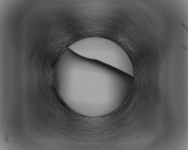 X0000091970030200709061141