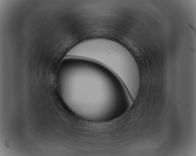 X0000091970031200709061141