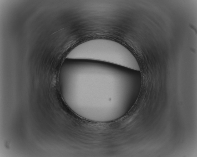 X0000091970032200709061141