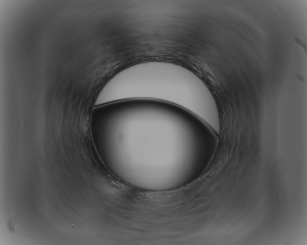 X0000091970033200709061141
