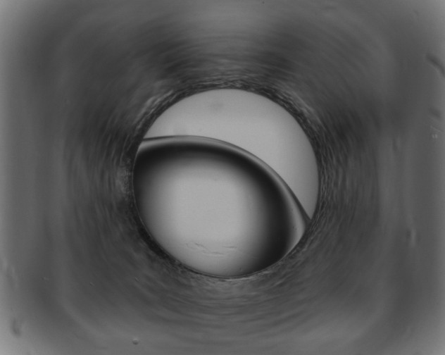 X0000091970035200709061141