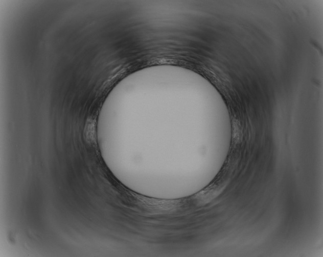 X0000091970036200709061141