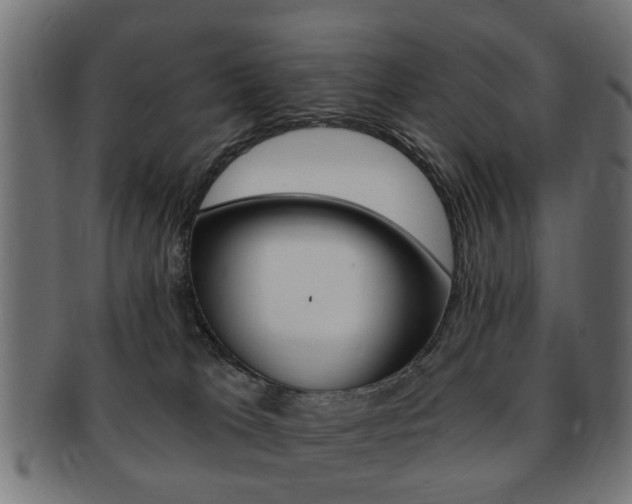 X0000091970037200709061141
