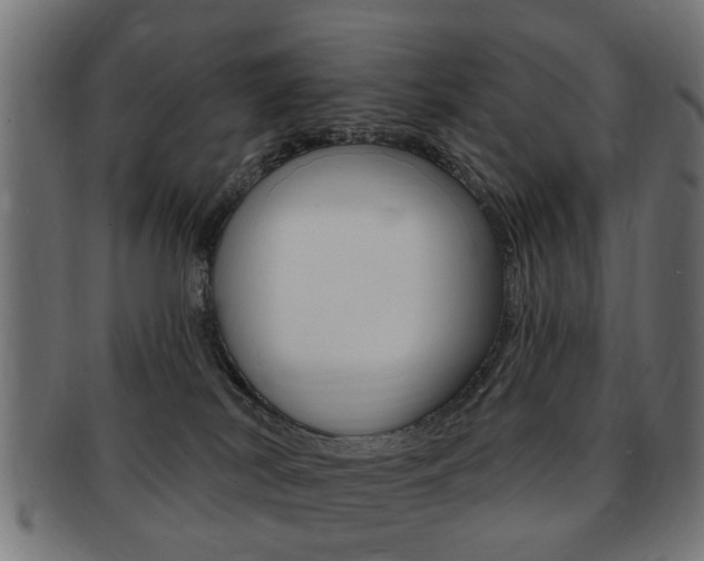 X0000091970038200709061141