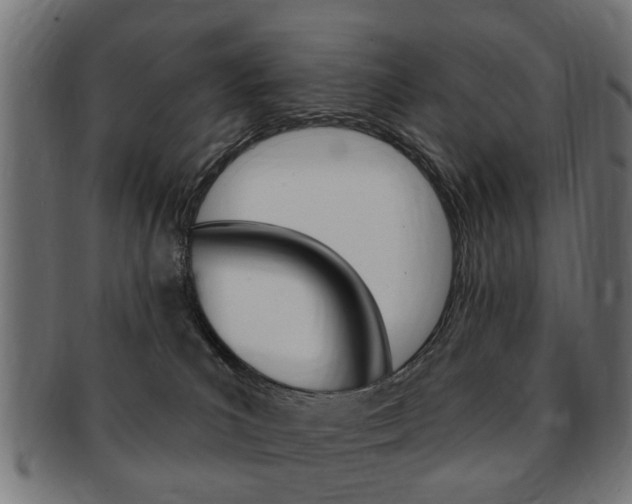 X0000091970039200709061141