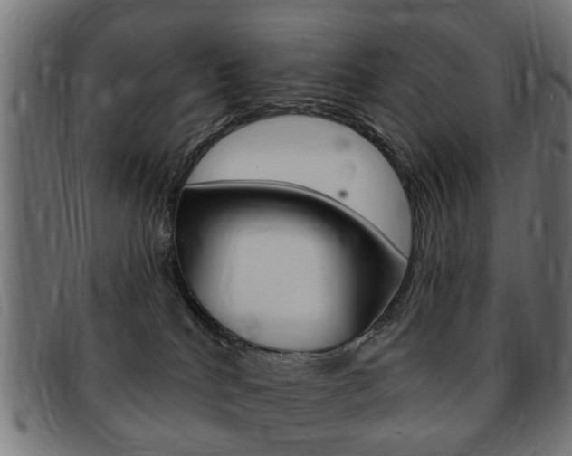 X0000091970040200709061141