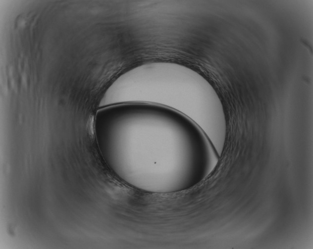 X0000091970041200709061141