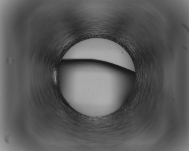 X0000091970042200709061141