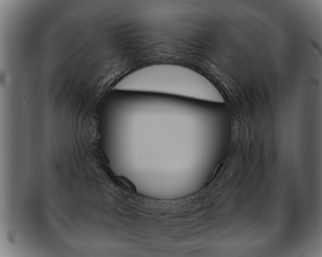 X0000091970043200709061141