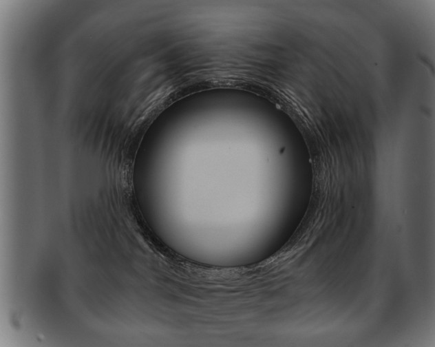X0000091970044200709061141