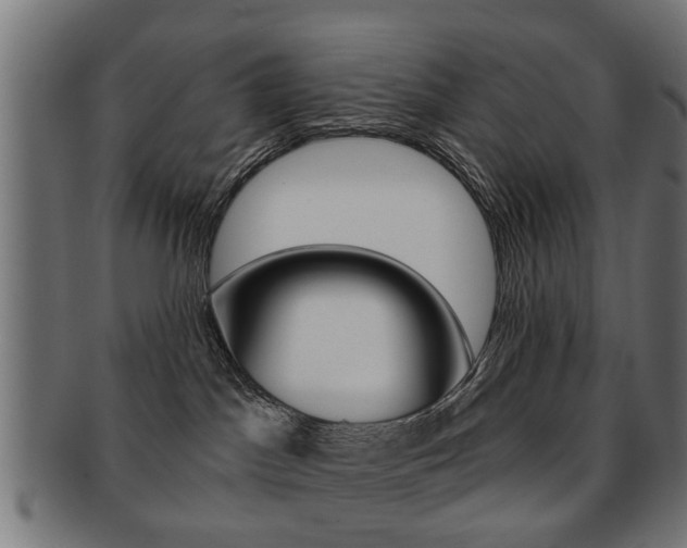 X0000091970045200709061141