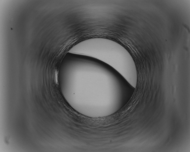 X0000091970046200709061141