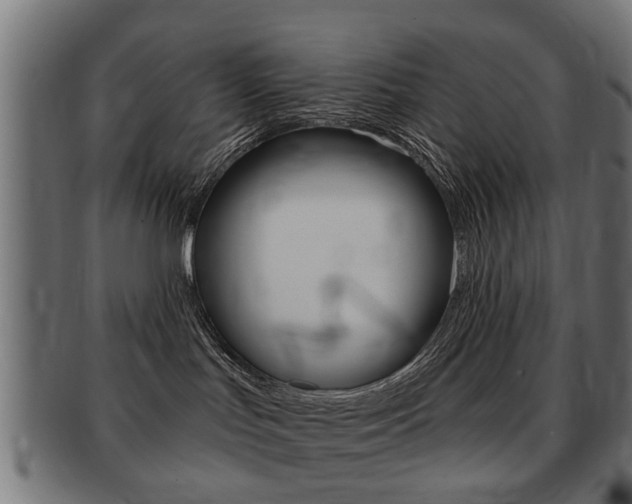 X0000091970047200709061141