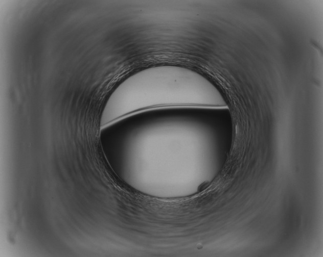 X0000091970048200709061141