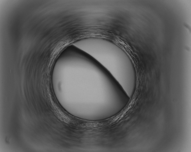 X0000091970049200709061140