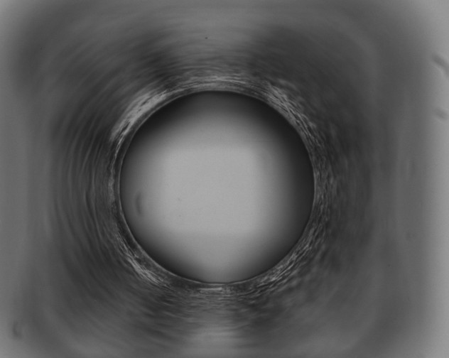 X0000091970050200709061140