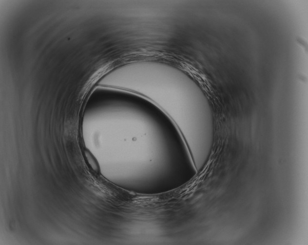 X0000091970051200709061140
