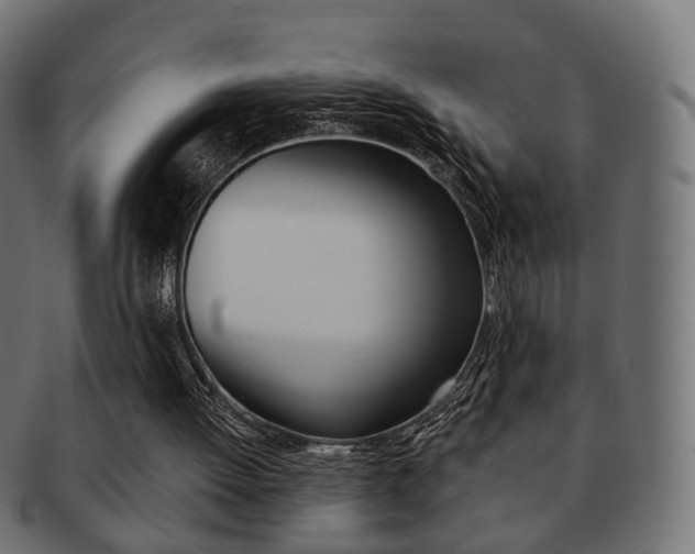 X0000091970052200709061140