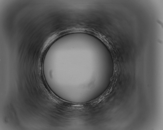 X0000091970053200709061140