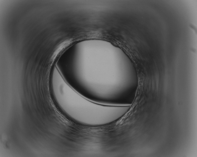 X0000091970054200709061140