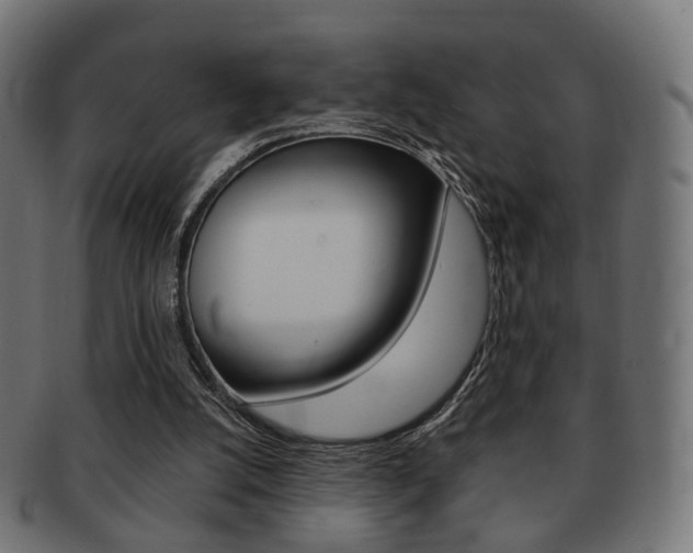 X0000091970056200709061140