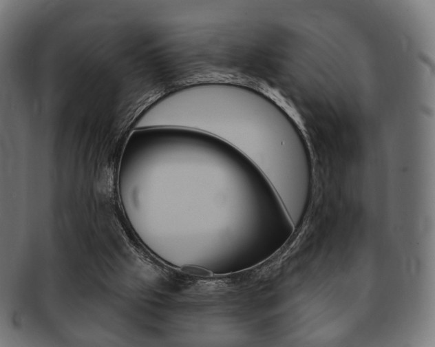 X0000091970057200709061140