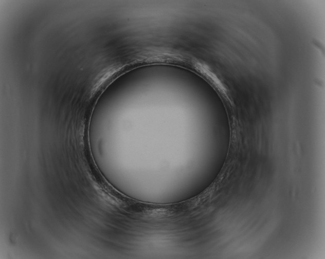 X0000091970058200709061140