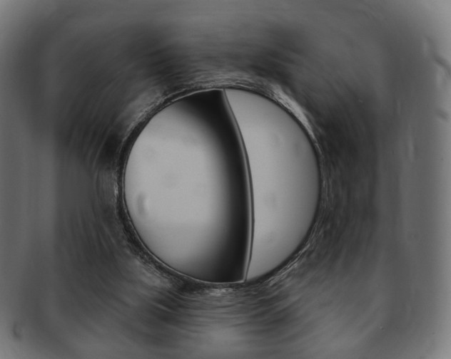 X0000091970059200709061140