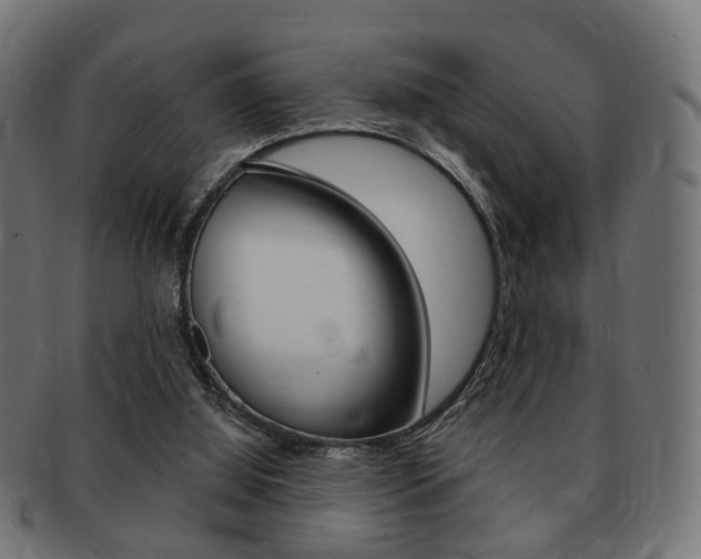 X0000091970060200709061140