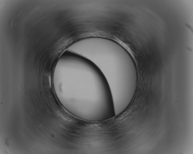 X0000091970061200709061140