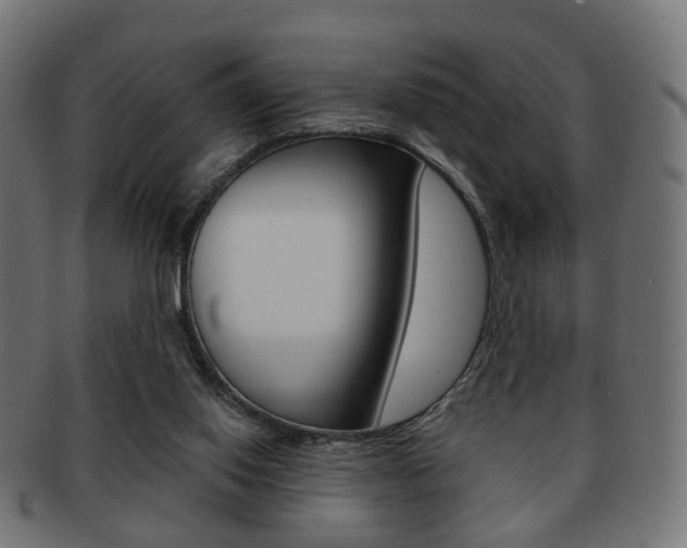 X0000091970062200709061140
