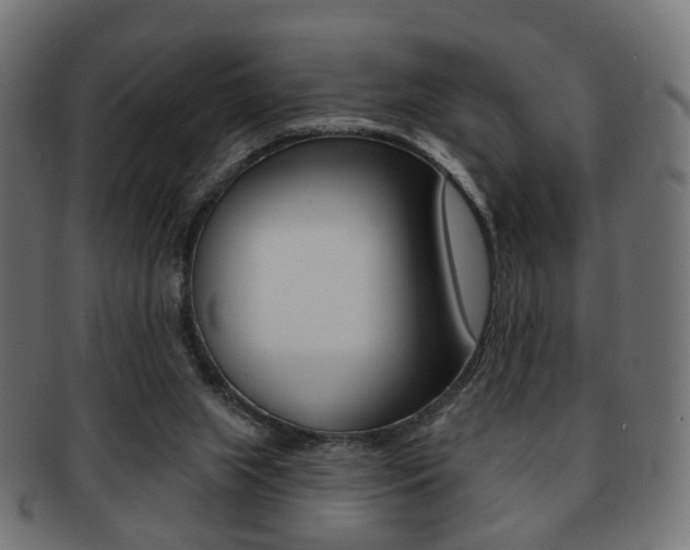 X0000091970063200709061140