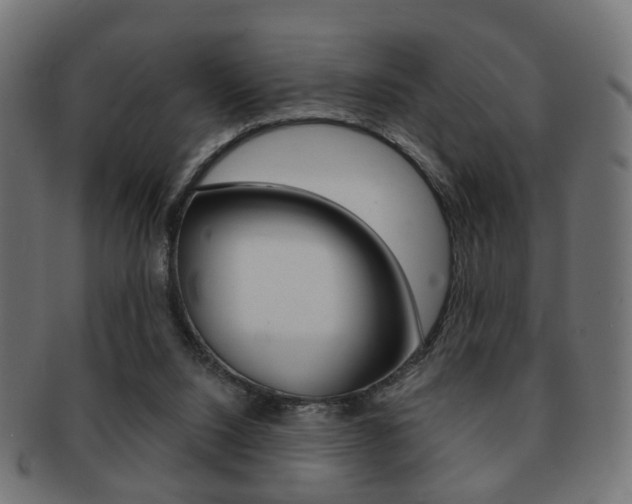 X0000091970064200709061140