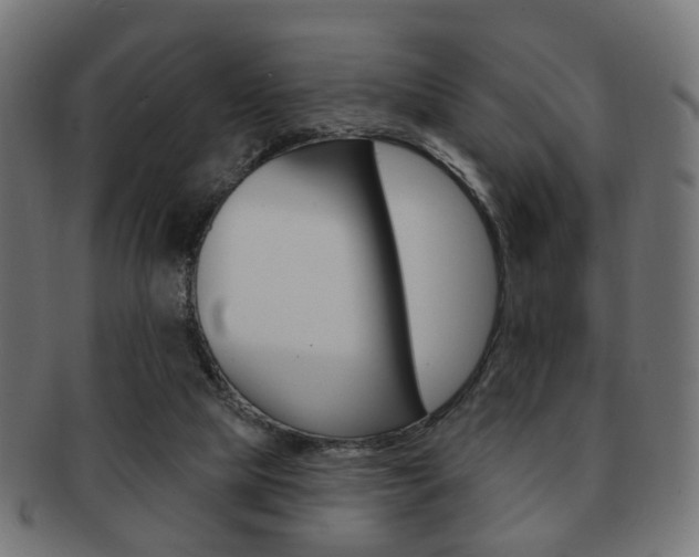 X0000091970065200709061140