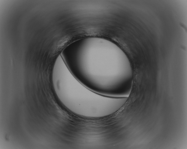 X0000091970066200709061140