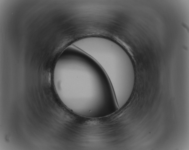 X0000091970067200709061140