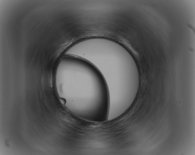 X0000091970068200709061140