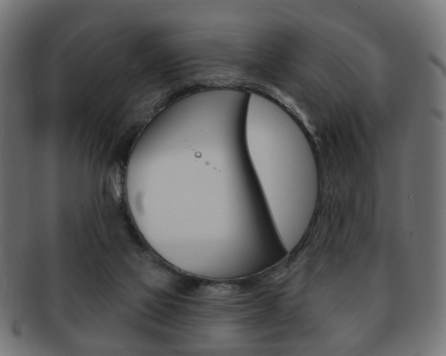 X0000091970069200709061140