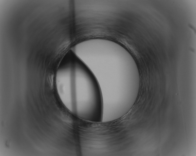 X0000091970070200709061140