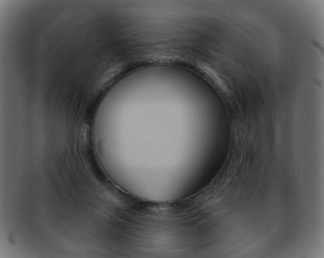 X0000091970071200709061140