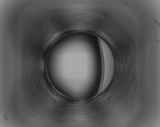 X0000091970072200709061140