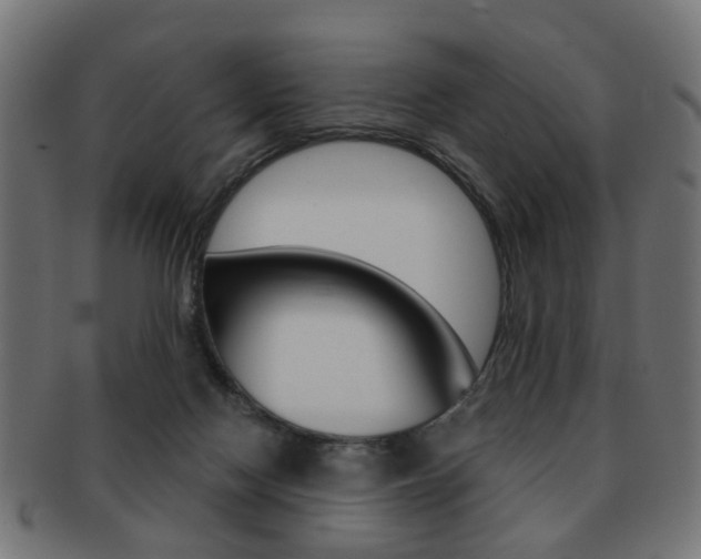 X0000091970074200709061140