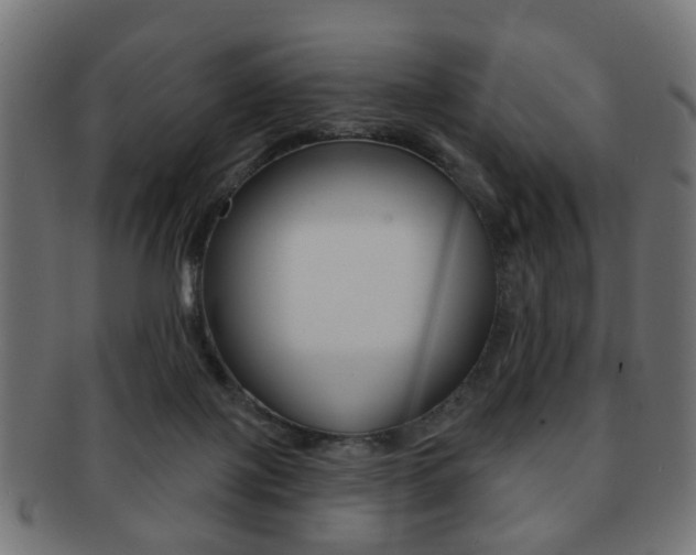 X0000091970075200709061140