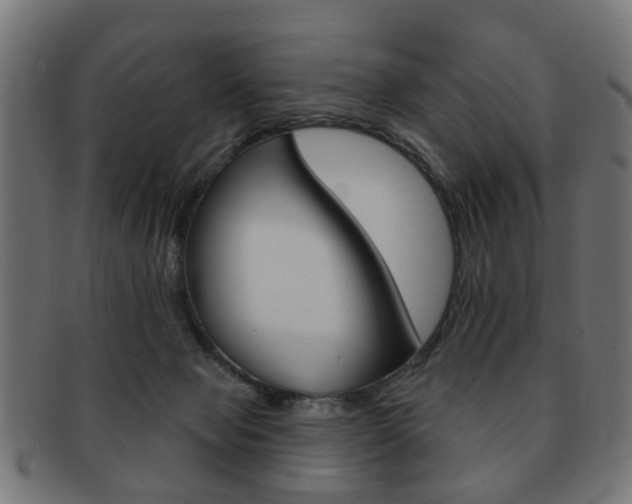 X0000091970077200709061140