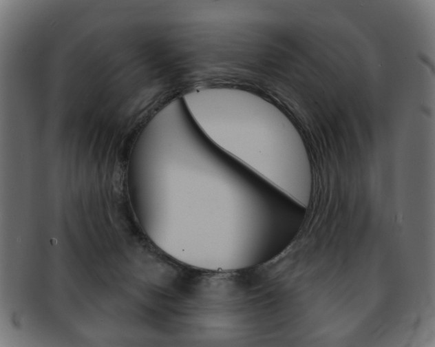 X0000091970078200709061140