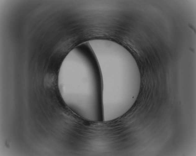 X0000091970079200709061140