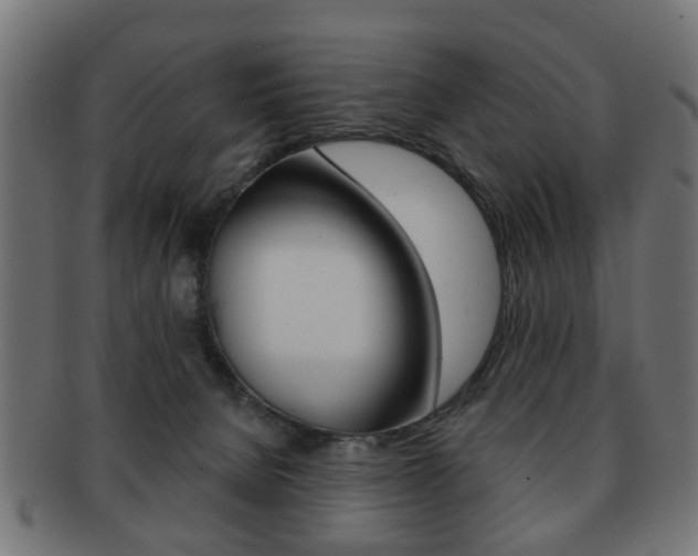 X0000091970080200709061140