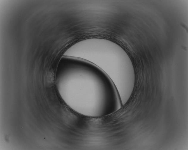 X0000091970081200709061140