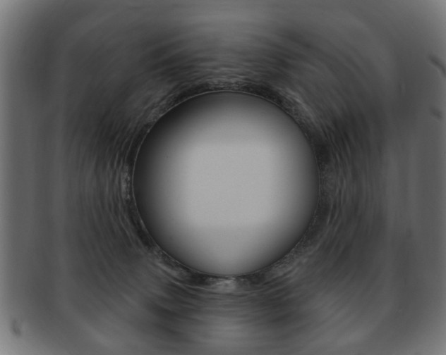 X0000091970083200709061140