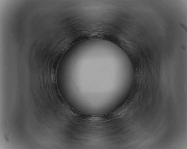 X0000091970085200709061140